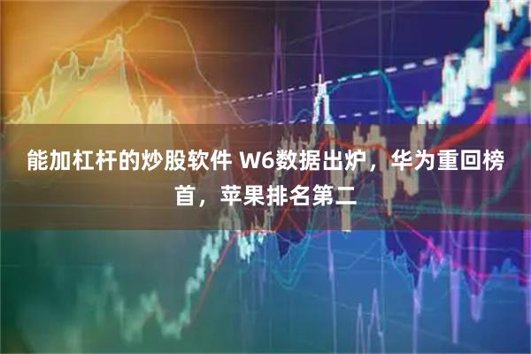 能加杠杆的炒股软件 W6数据出炉，华为重回榜首，苹果排名第二