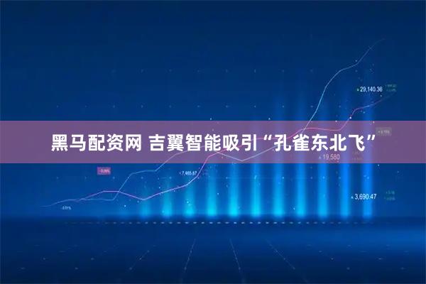 黑马配资网 吉翼智能吸引“孔雀东北飞”